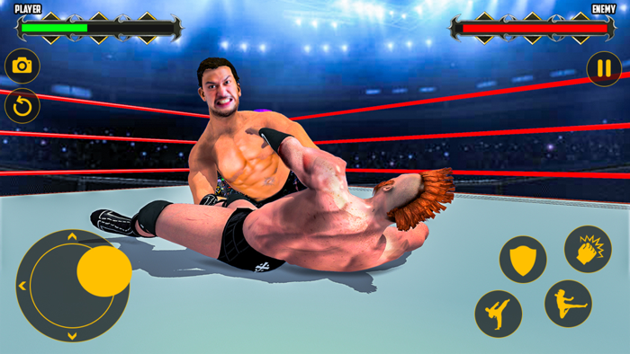 Pro Wrestling  Ring Combat 3D