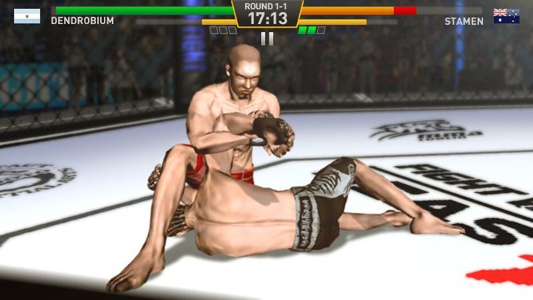 Boxing Star Fighting screenshot-3