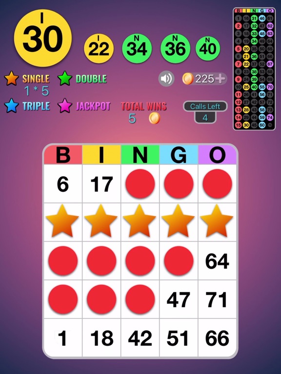 Ultra Bingo screenshot 3