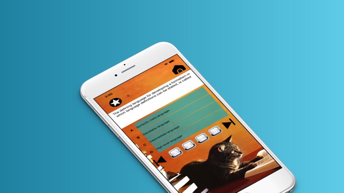 Mr·Cat -Mathematical theory