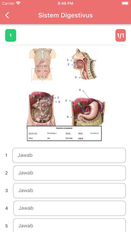 Nursery Anatomy Learning FKUH screenshot-4