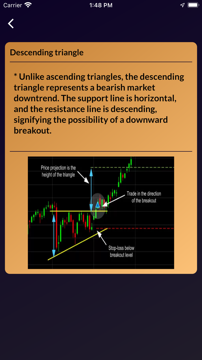 Stock Trading Investing Guide