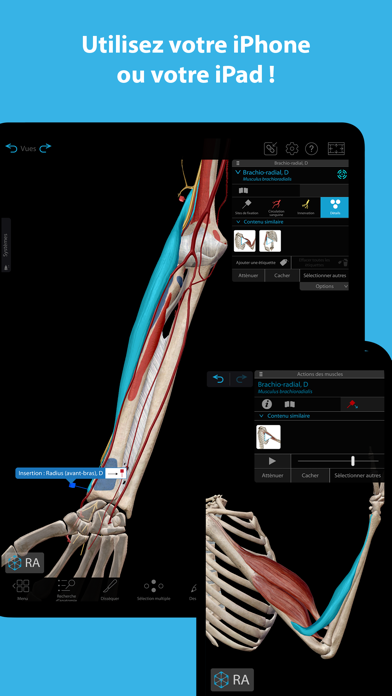 Muscles & Kinésiologie Muscles & Kinésiologie