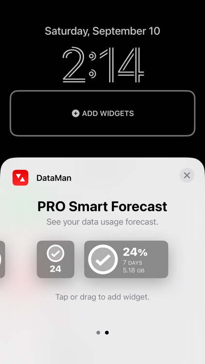 DataMan - Data Usage Widget screenshot-0