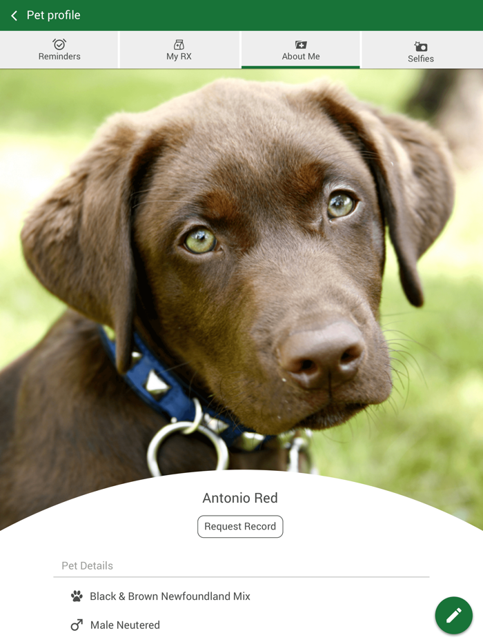 Creedmoor Rd Animal Hospital