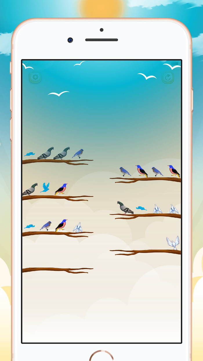 Bird Sort Color Puzzle