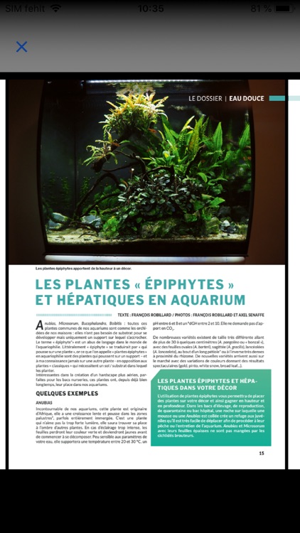 Aquarium à la maison