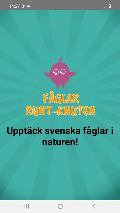 Fåglar Runt-Knuten