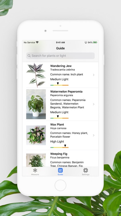 Plant Light Meter screenshot-5