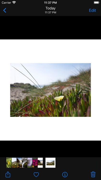 White Frame - for instagram