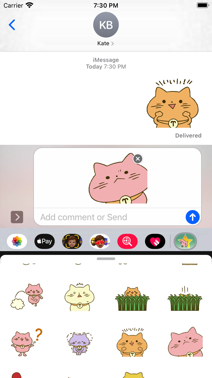 Cat Cat 5 Stickers Pack
