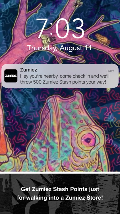 Zumiez screenshot-4