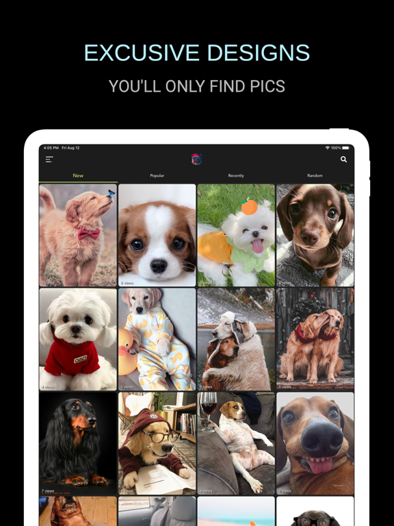 cute dog wallpapers for ipad