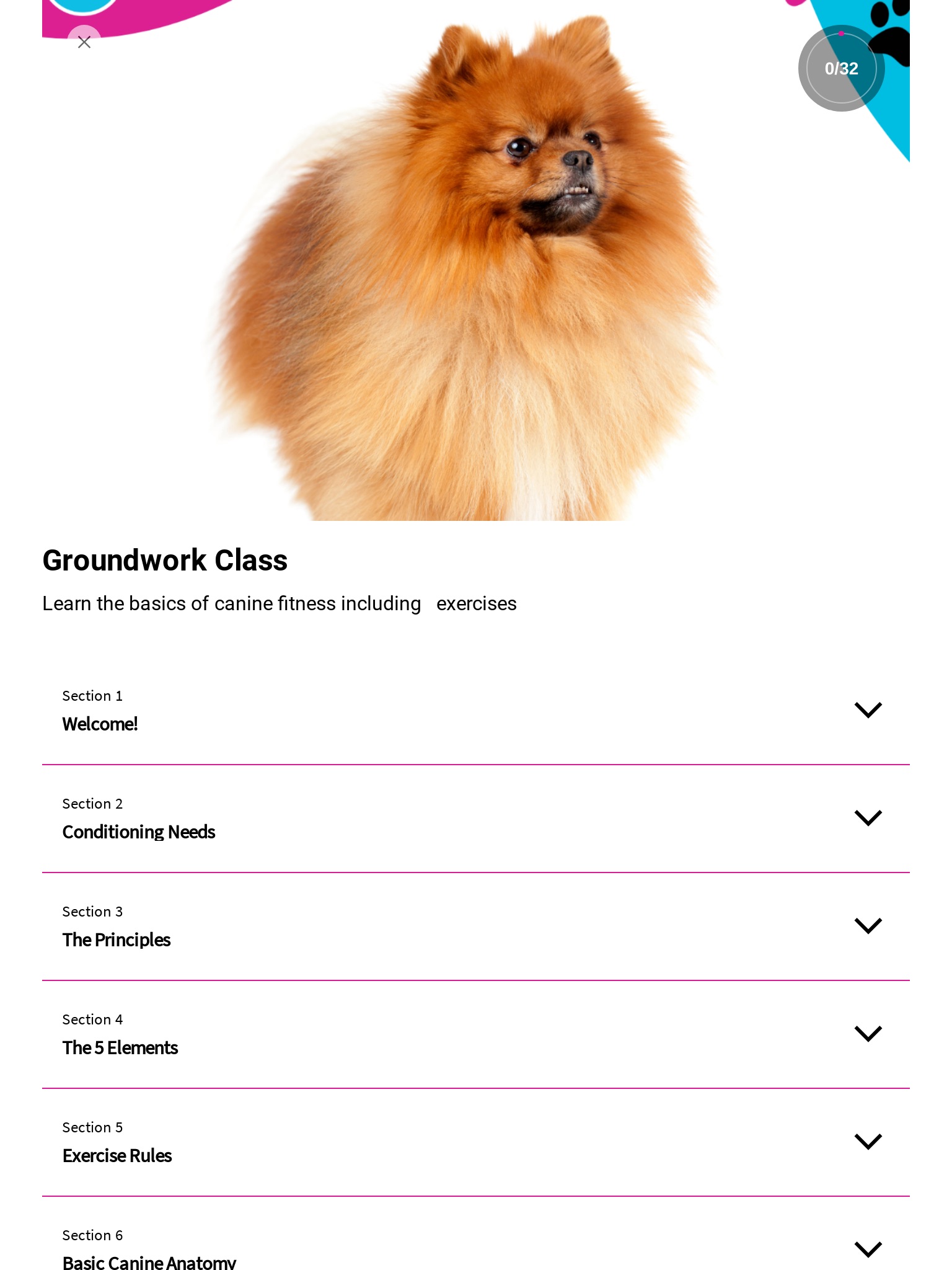 Canine Fitness App screenshot 4