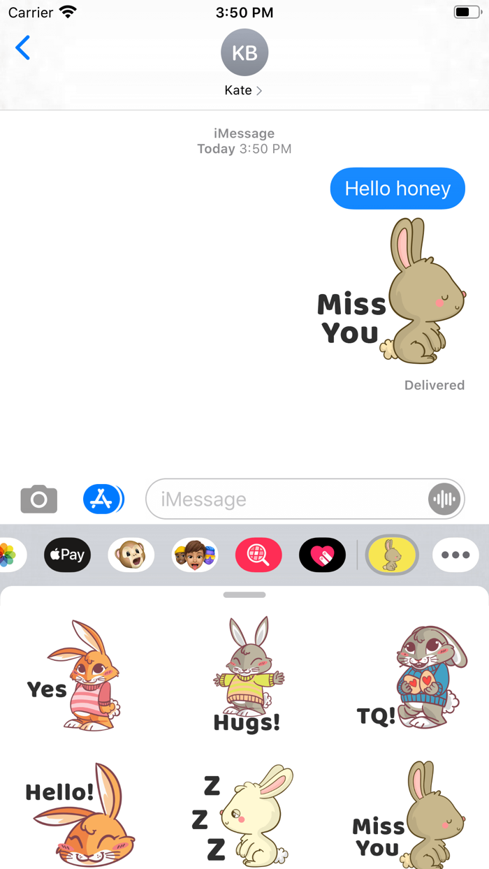 Bunny Rabbit Stickers