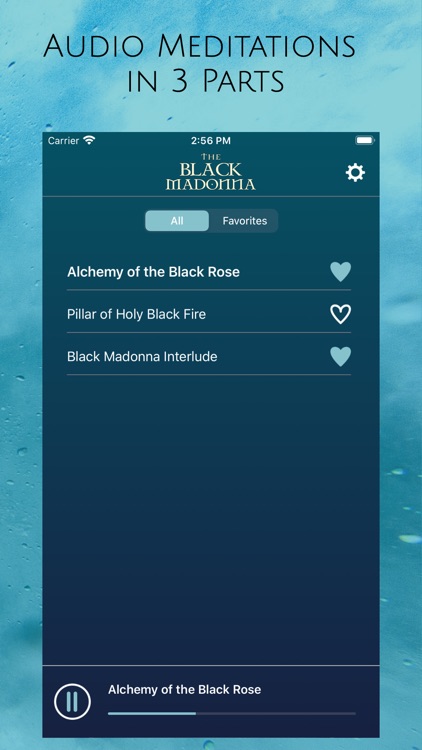 The Black Madonna screenshot-3