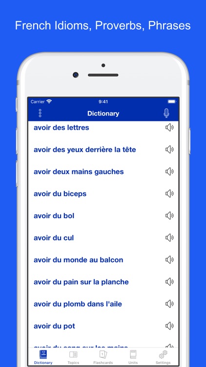 French Idiom Dictionary