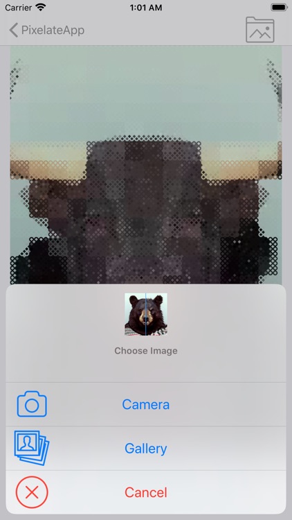 PixelateApp screenshot-5