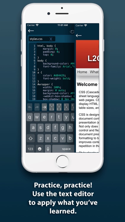 L2Code CSS screenshot-4