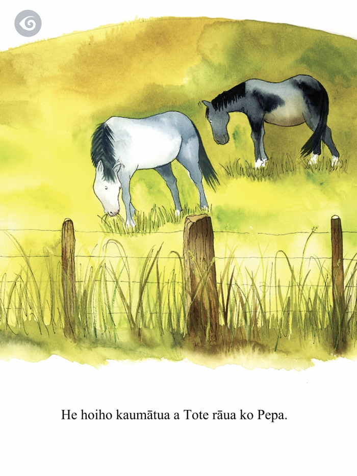 Milly, Molly and Salt  Pepper