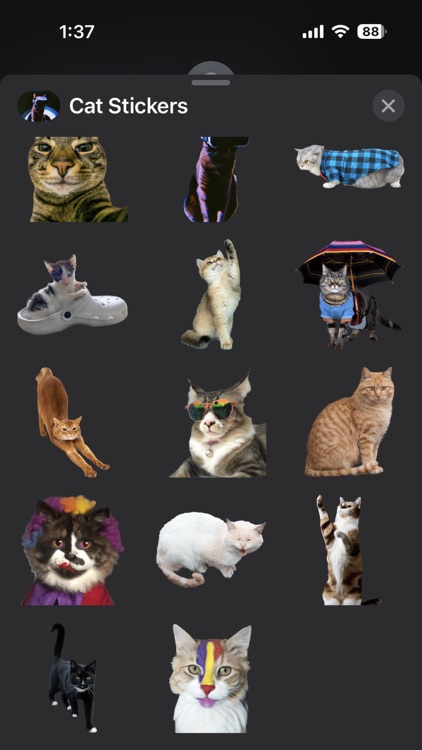 Cat Sticker Pack for Messages