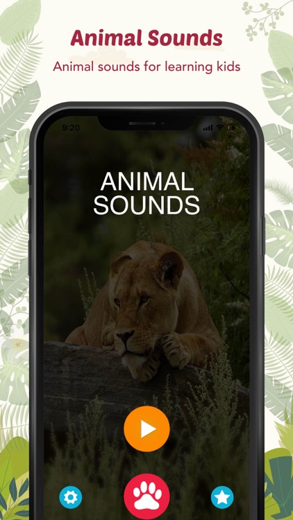 Animal Sounds for Kids.!