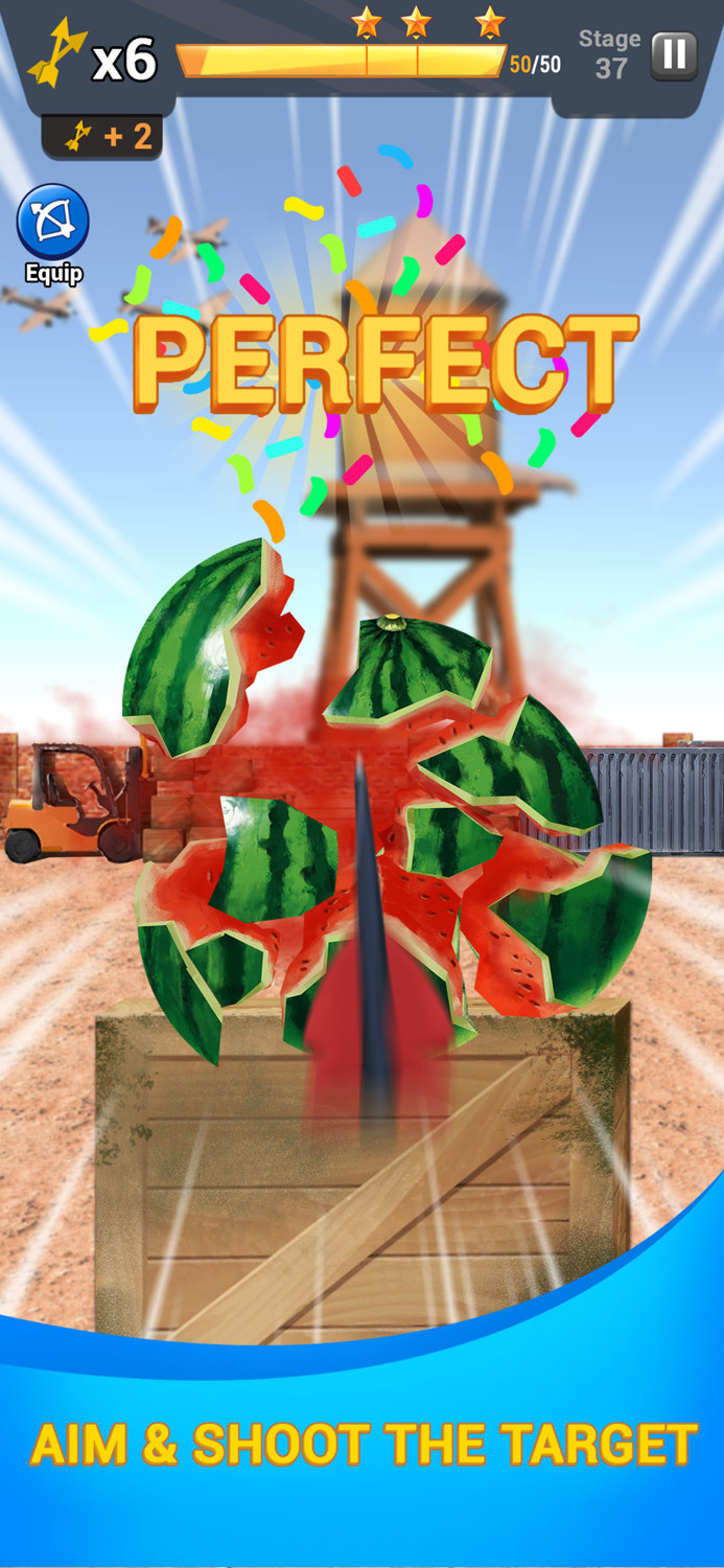 Archery Master Shooter