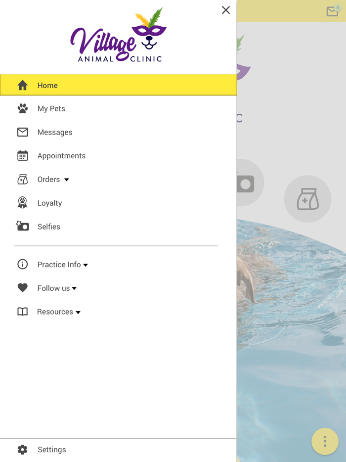 Village Animal Clinic