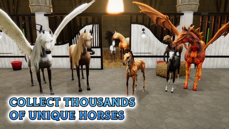 Horse Academy Island screenshot-4