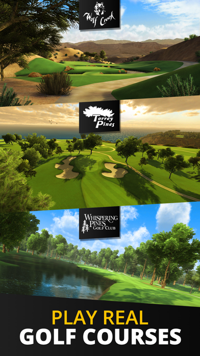 Ultimate Golf! screenshot 2