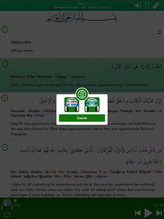 Quran Audio mp3 Pro in Swedish screenshot 4
