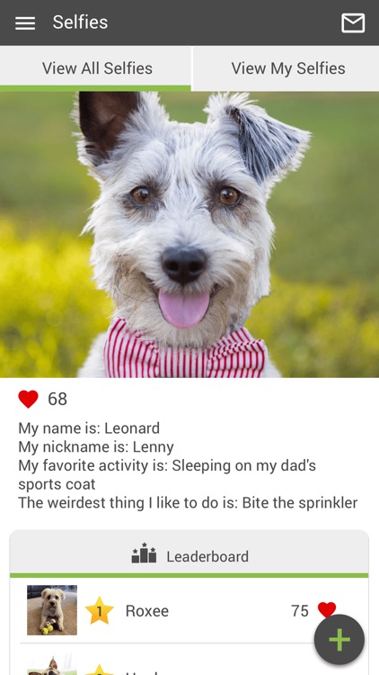 Brentwood VH screenshot-3