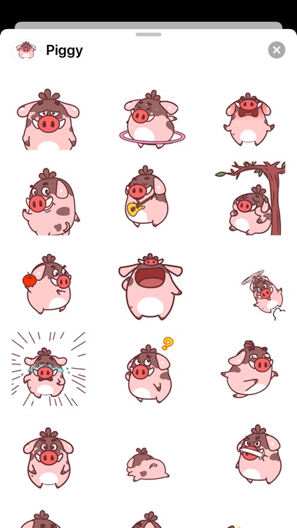 Pink Piggy