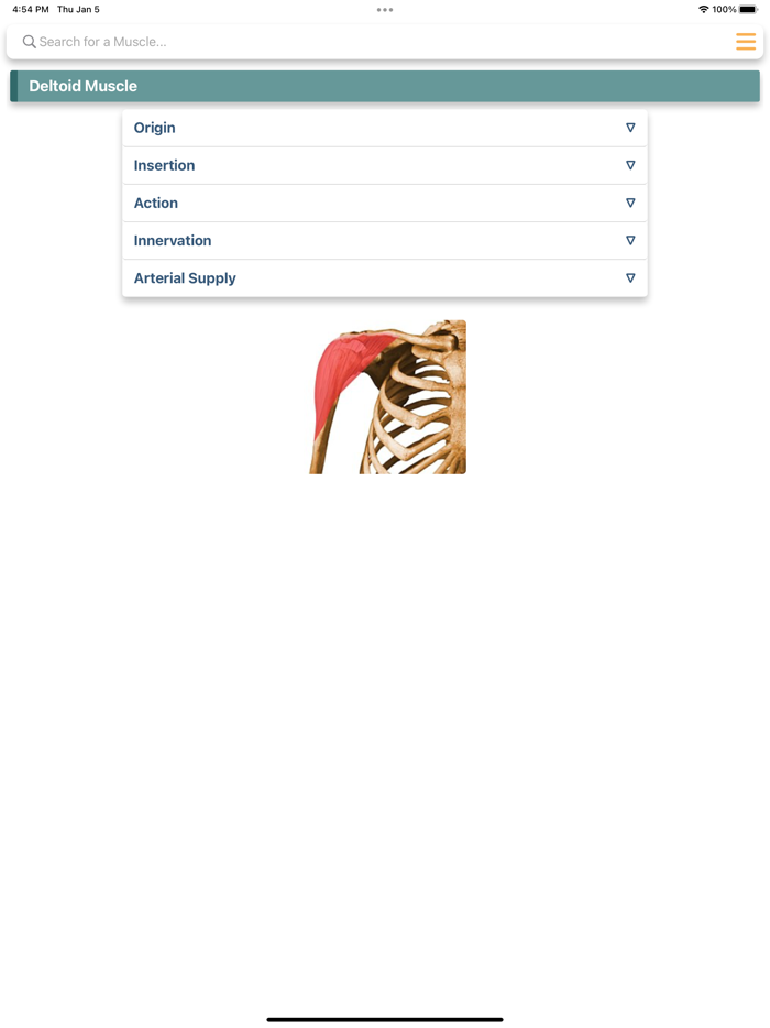Orthopedic Limbs Anatomy
