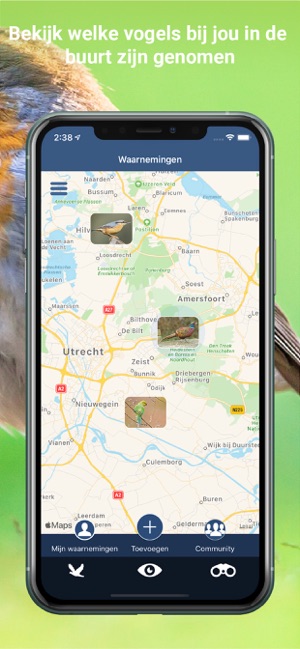 Vogelzang Id Nederland(圖9)-速報App