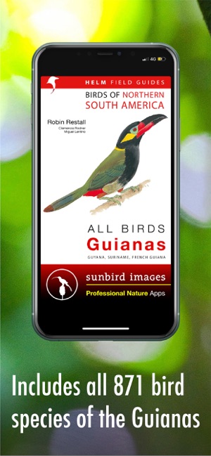 All Birds Guianas