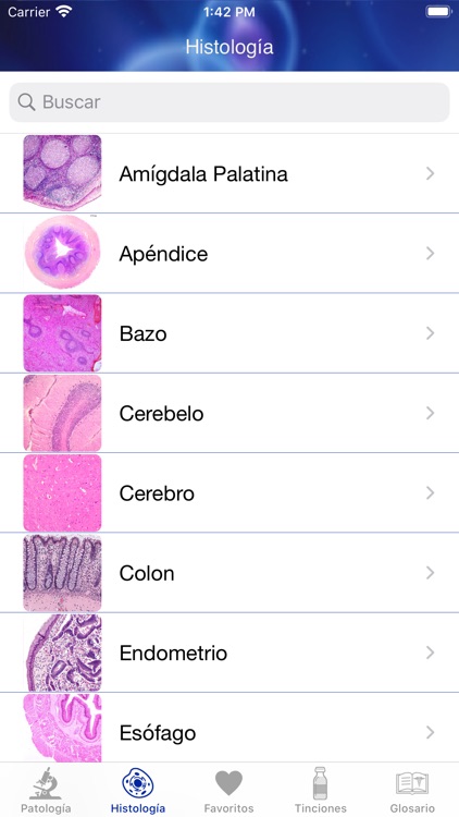 Patología Clínica screenshot-3