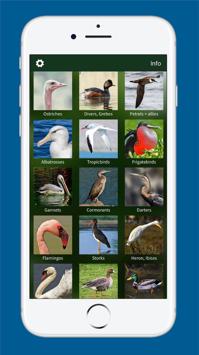 BIRD SONGS Europe North Africa