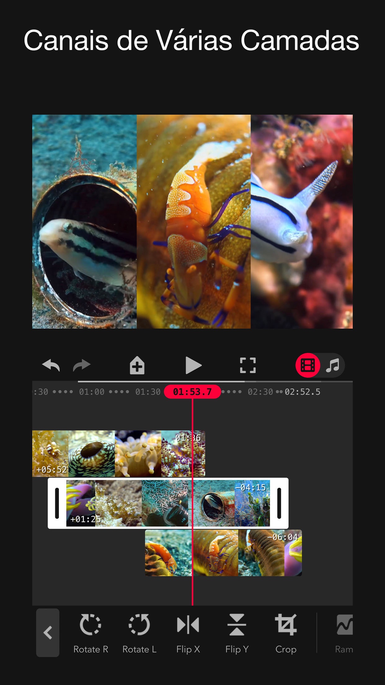 Screenshot do app Focos Live