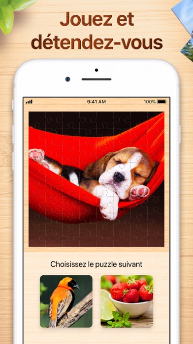 Puzzles - Casse-têtes logiques Puzzles - Casse-têtes logiques