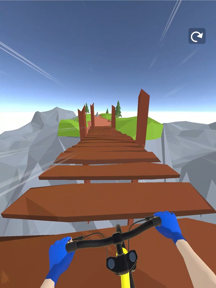 Mountain Biker 3D
