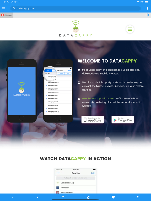 Datacappy Browser screenshot 2