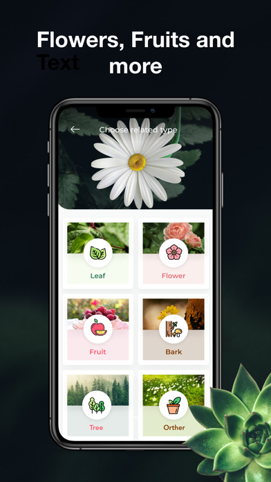 LeafSnap-Plant Identification screenshot 4