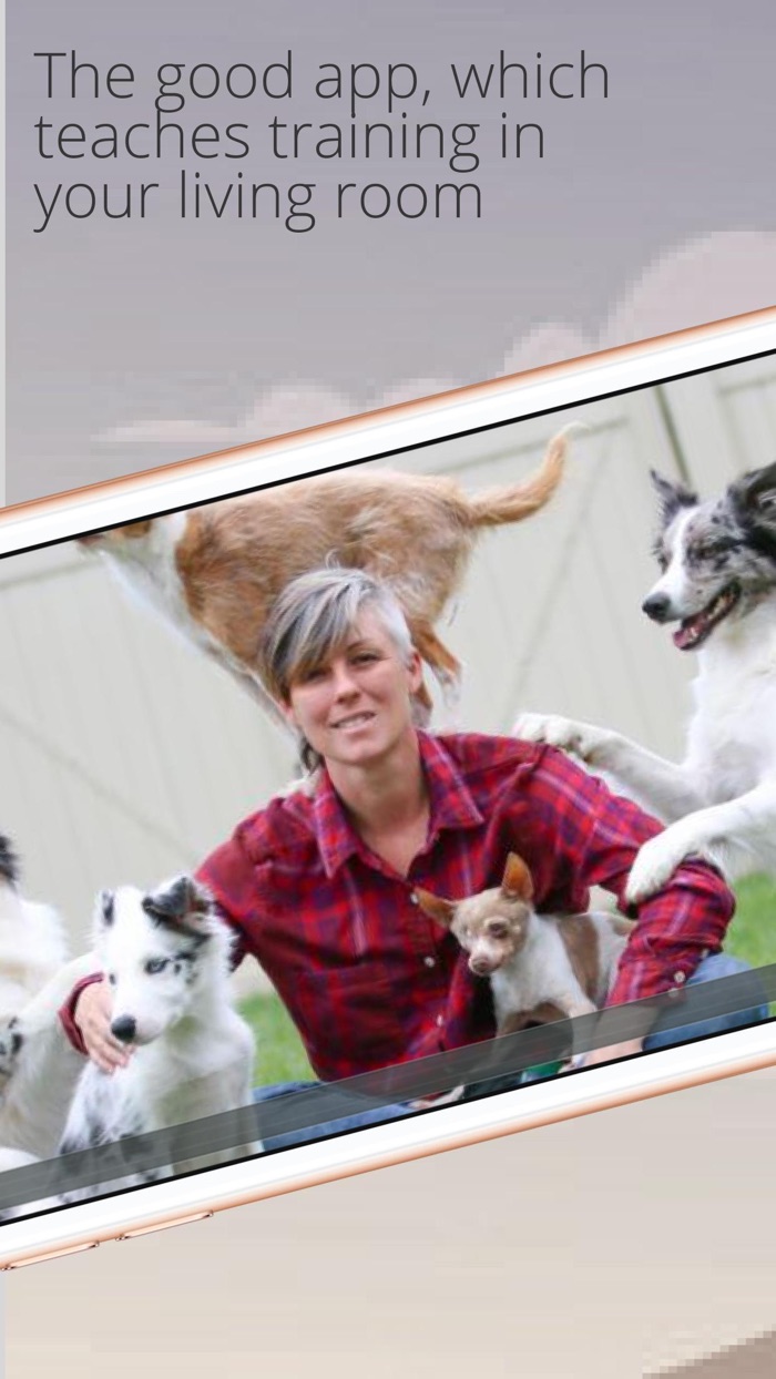 Dog Training Adopt My A Pet