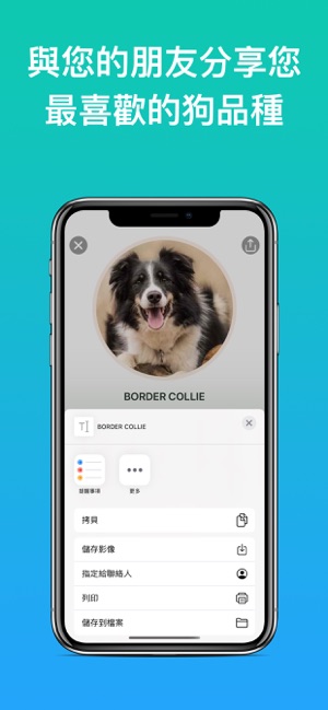 Dog Identifier - 識別狗的品種(圖7)-速報App