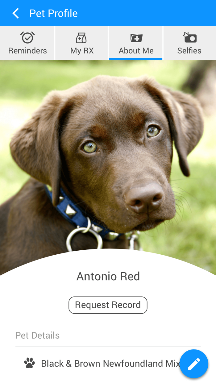 Oak Knoll Vet Moline