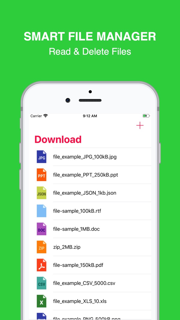 Advanced Download Manager