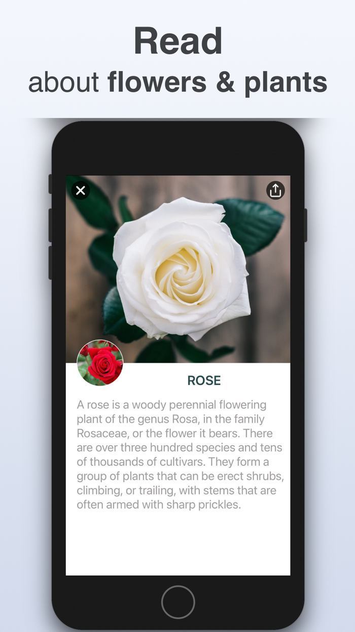 Plant Identifier - Scan Flower