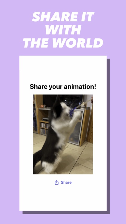 LivePhoto Animation Share