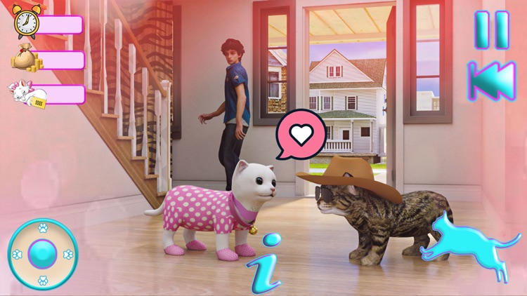 My Favorite Little Kitten Sim
